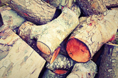 Maxworthy wood burning boiler costs